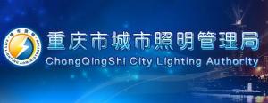 祝賀我司與重慶市照明管理局簽訂網站制作合同